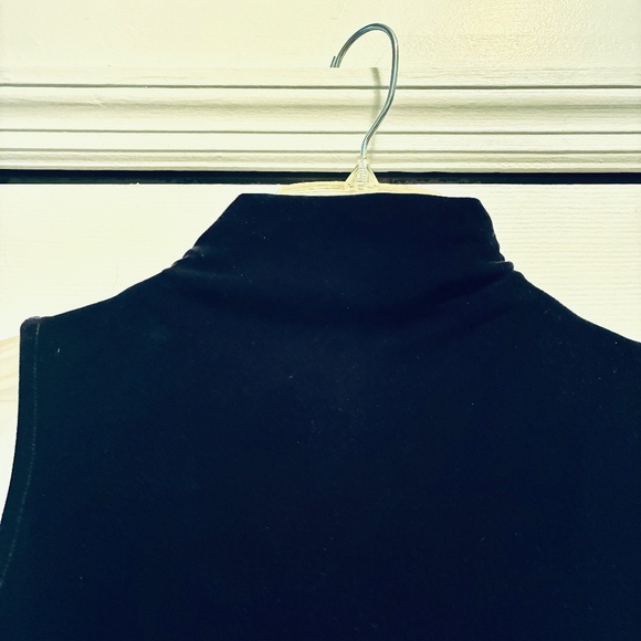 Sleeveless Velvet Mock Neck Sheath - Picture 3 of 6